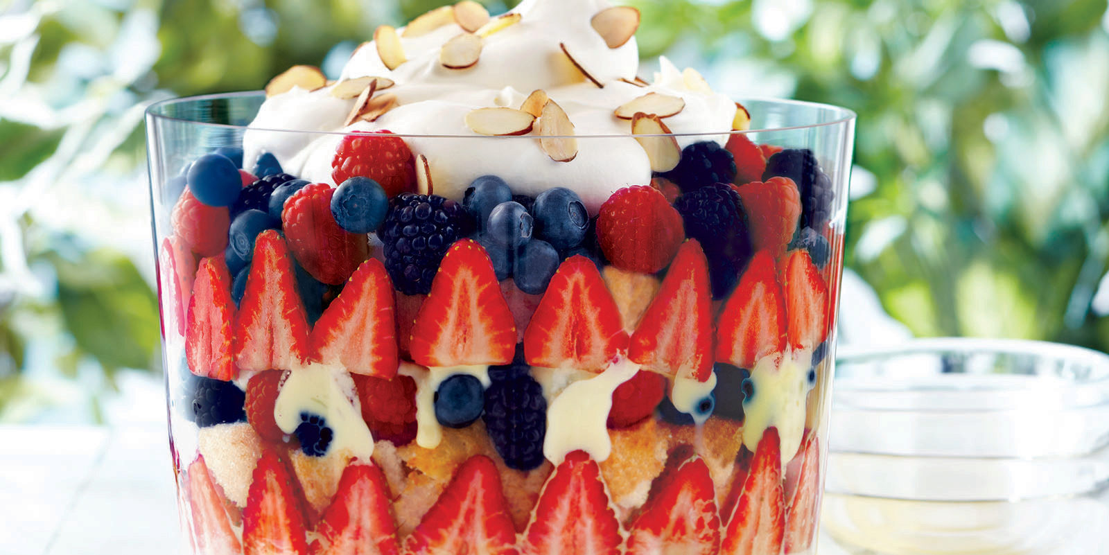 Summer Berry Fruit Trifle Cups – The Salted Cookie